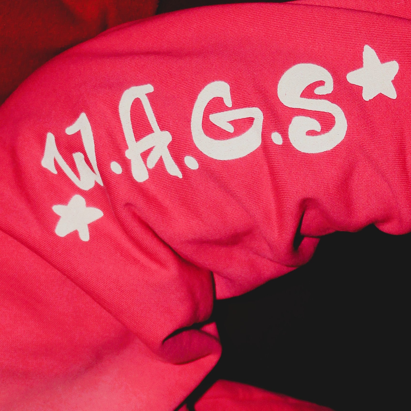 W.A.G.S Cheerleader Hoodie