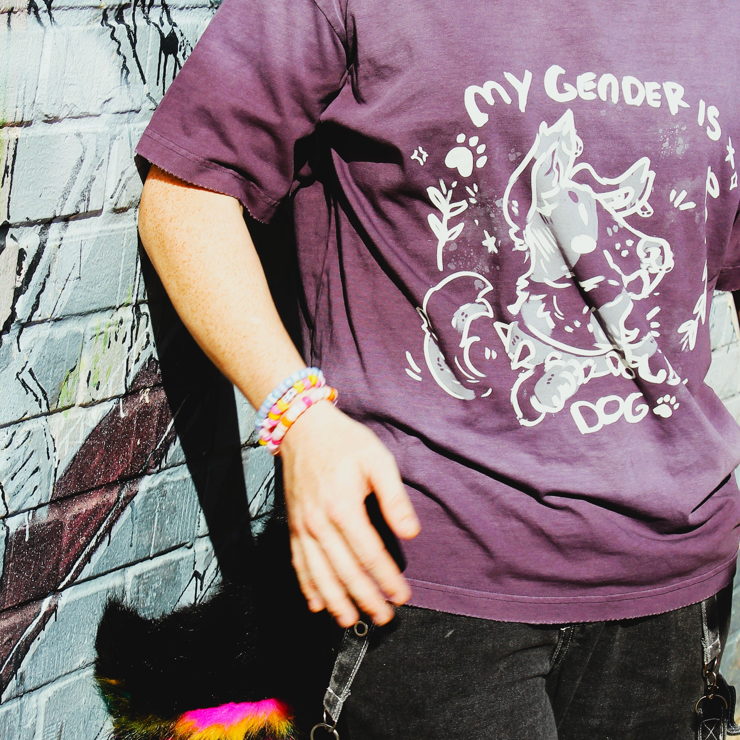 My Gender is Dog Sun Fade T-Shirt