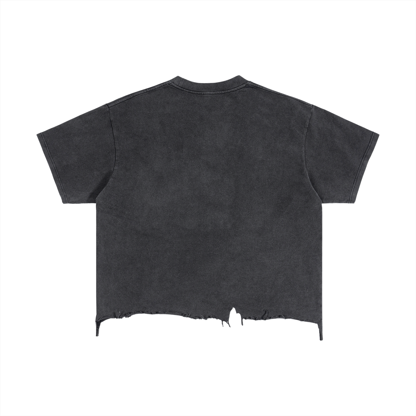 Profanity Distressed T-Shirt